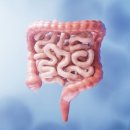 배가한방병원 이미지