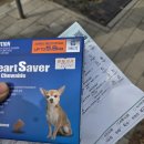 유준상가정의학과의원 | 부개역 가정의학과 추천｜푸른가정의학과 의원 방문 후기, 주차·약국 정보까지 솔직 정리