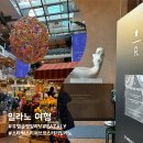 🇮🇹 밀라노) 호텔 글램 밀라노, EATALY, 스타벅스 리저브 로스터리 밀라노 후기
