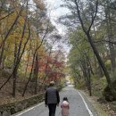 태조산 공원 | 천안 시티투어 나들이｜태조산공원·안전체험관·호두과자 만들기 체험 후기