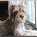 종은농장 이미지