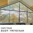 충남일보공주지사 | 충남 공주 벚꽃 나들이 애견 동반 가능한 카페 마암