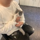 제이제이캣 이미지