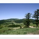 대관령목장 이미지