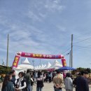 서천 | 2026서천쭈꾸미축제 후기 주차 먹거리 체험 쭈꾸미가격 총정리