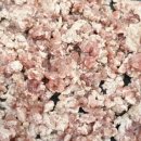 쪼꼬미앙 이미지