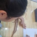 선사랑 놀자(하반기) 이미지