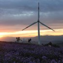 해와별여행 이미지