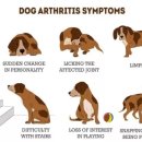 우리아이 동물병원 이미지