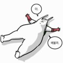국민솥뚜껑생고기