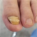레푸스 연산시청점