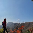 와와공원 이미지