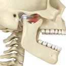 턱관절(TMJ, Temporomandibular Joint) 해부학적 이론 이미지