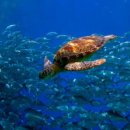 힐스테이트 청계 센트럴 | [공지] 2025년 3월 힐스테이트청계센트럴 현장분위기(서울 중구)