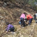 안양9동주민센터 이미지