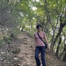 꽃빛공원 화장실 이미지