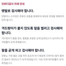 인바디 남부 이미지