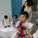 송도명품삼계탕 이미지