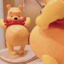 살롱드2835 이미지