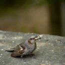 선유공원 이미지