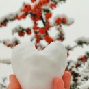 로맨틱 제주 이미지