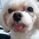 간석1동-5 이미지