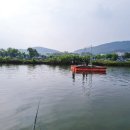 만정1호 이미지