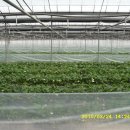 연무농장 이미지