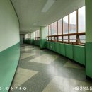 서울신당초등학교 이미지