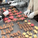 테디스베어