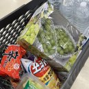 펜션스타디움 | 대전 감성 숙소 추천 야구장 성심당 근처 독채 에어비앤비 후기(8인 가능)