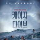 케이지 - 강남구 자곡로 174-10 | 케이지