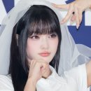 이로하 카카오 검색결과