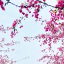 남미륵사 이미지