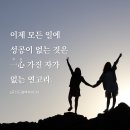일심 이미지