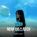 [일본여행] 봄에 떠나는 일본 소도시 여행, 나가노현 아치무라 하나모모노사토 홍도화 축제 솔직 후기! 🌸