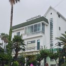 모다 게스트하우스 | 제주도 게스트하우스 비치보이즈에서 가성비 미친 제주도 해양레저 즐기기