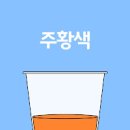 소변색깔 노란소변 주황색소변 냄새 붉은색 혈뇨 소변이 탁해요 오줌색깔 단백뇨 이미지