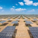 신정태양광발전소 이미지