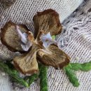 왕비주단 이미지