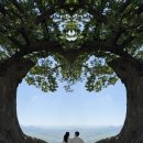 쌍갑포차 - 이천시 | 부여 성흥산 사랑나무｜부여 가볼만한곳 인생샷 포토존, 주차장 위치 후기