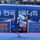 국가대표 태권도 금메달도장 이미지