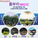 송곡리유적지2(잔디구장) | 롭부리13골프는 지금/태국골프/장박골프/롭부리13