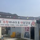 양산) 원동 미나리삼겹살 흑돼지삼겹도있는 하우스 12번 추천
