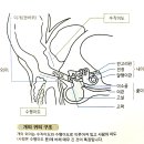 문정힐스동물병원 이미지