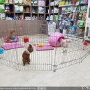 남창원동물병원 이미지