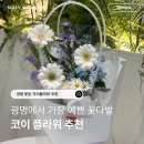 목감천 | 광명 꽃집 추천 코이플라워 선물 받고 반해서 직접 다녀온 후기 (플라워 카페 추천)