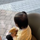 새동네어린이집 | 21개월 아기 육아일상｜새로운 어린이집 새학기 적응기, 유아식 외출 도시락통 추천, 퍼즐 장난감 후기
