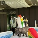 뚱새스테이 네이버블로그