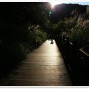 나만의 휴일 이미지